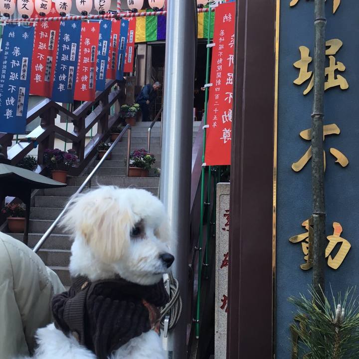 F8b300a8 3431 4cf5 990f 9d7709deda74