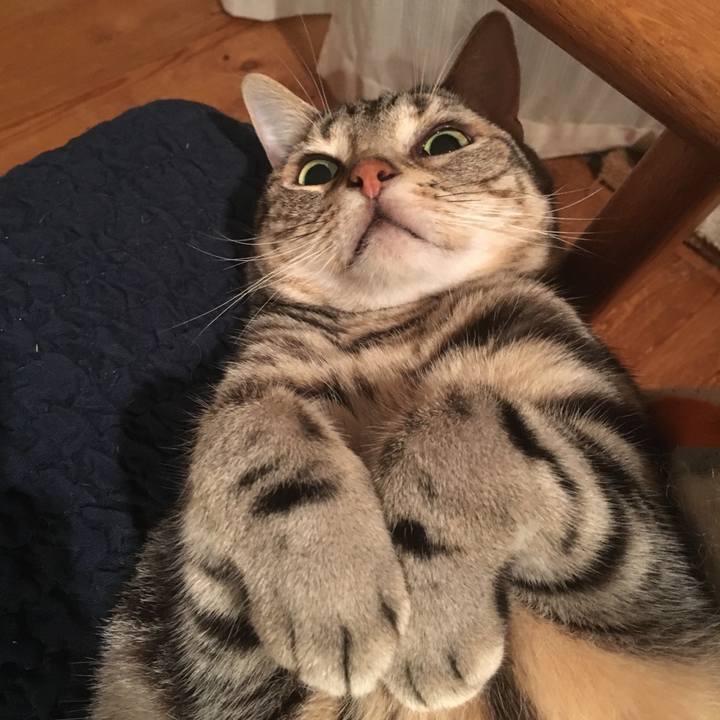 F8b361c3 a372 49aa 8e33 8225f3ed2816