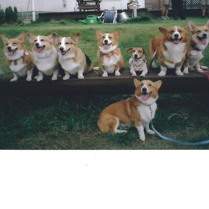 F8b3a14b 852e 415c 90c9 7866e022cc5a