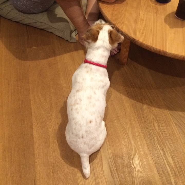 F8b3fc5b d2d9 4649 9dd5 49440201ca9a