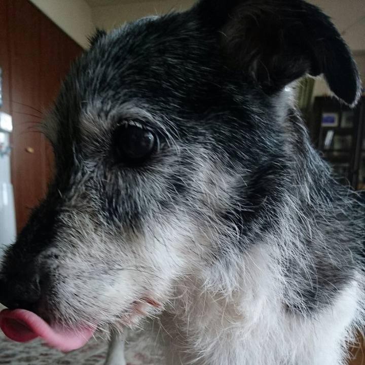 F8b439e9 36b3 4b62 8c5a 2d22c37dd01a