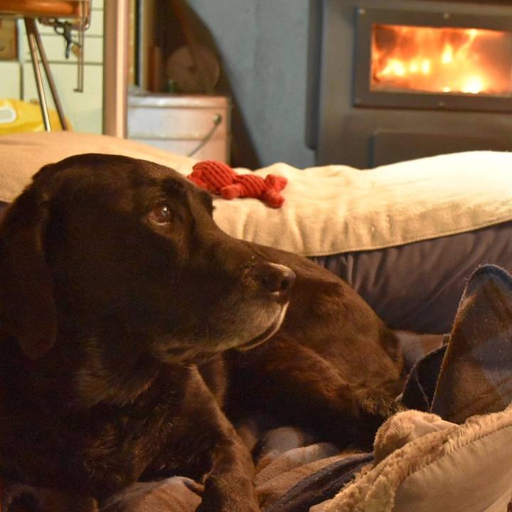 F8b50b43 745e 4ef7 943d a46d60532212