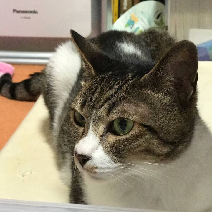 F8b54083 a54e 4718 968d eff729c2fe51