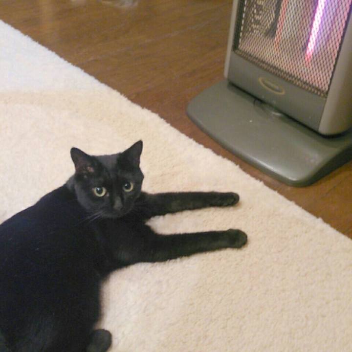 F8b56ebc c14e 43b8 9664 a8b3c78182f5