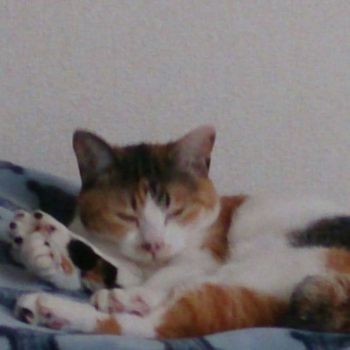 F8b5bc11 bfbc 4bb7 9cf3 05f3ff59dd25