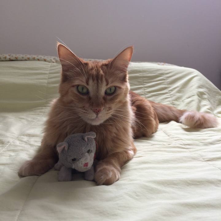 F8b61236 d590 428a 8c62 b1c23c25cc2d