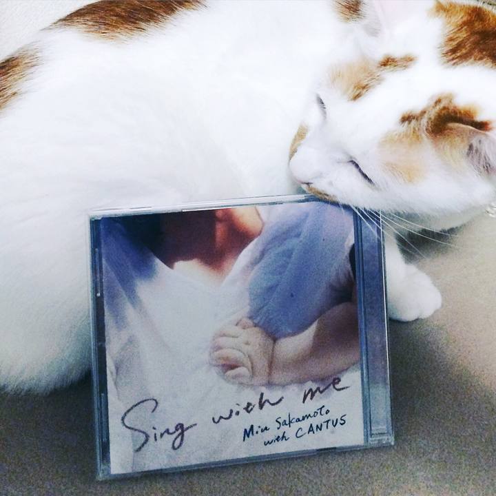 F8b6546f aba1 4c4a 9452 77a59cf0da07