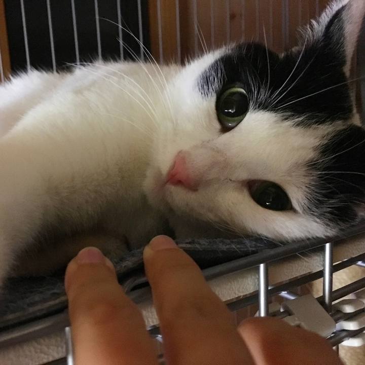 F8b74599 9fb8 4e7c be5a d7e15fad8565