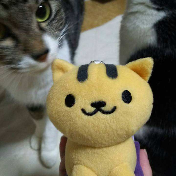 F8b79617 3f90 4644 9885 316da8ebda19