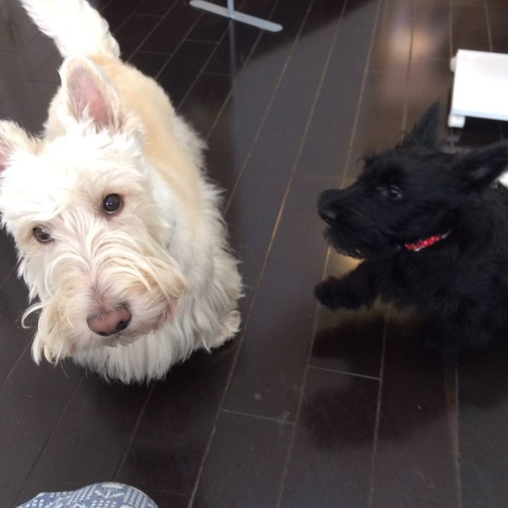 F8b7992c 118d 464b 8689 e0cb4026fc7b