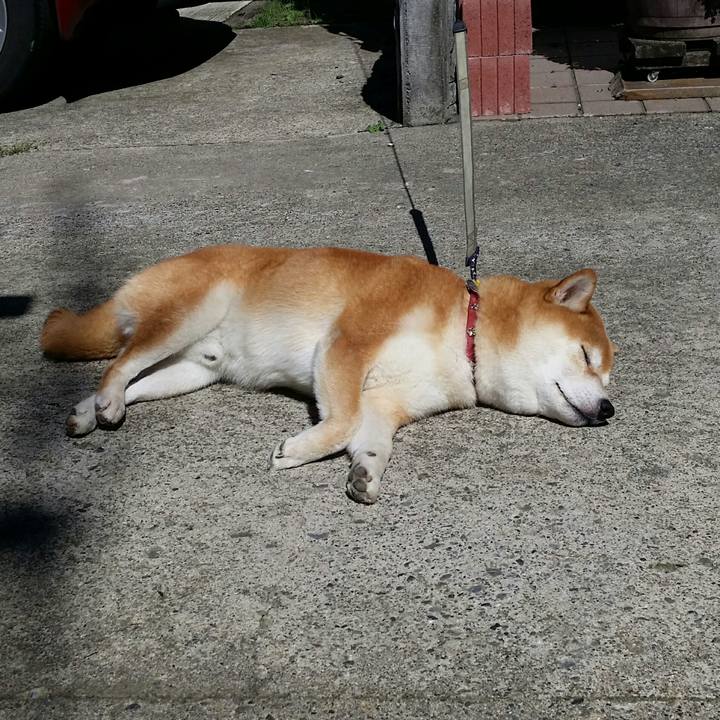 F8b79d9b 4455 44cd 8224 e93002c74488