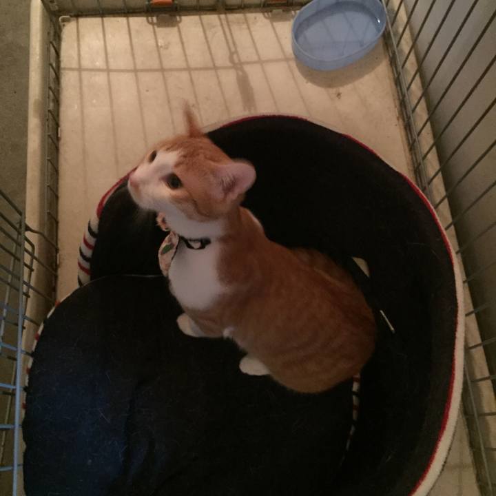 F8b7e429 270e 4be8 a846 7135609fb5a6