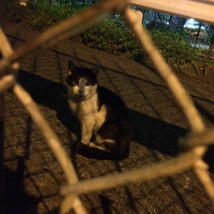 F8b85bb9 df5d 4456 9597 66d576a7c9f0