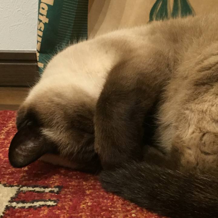 F8b90307 9d7d 4e13 99af 7c8c3409886d