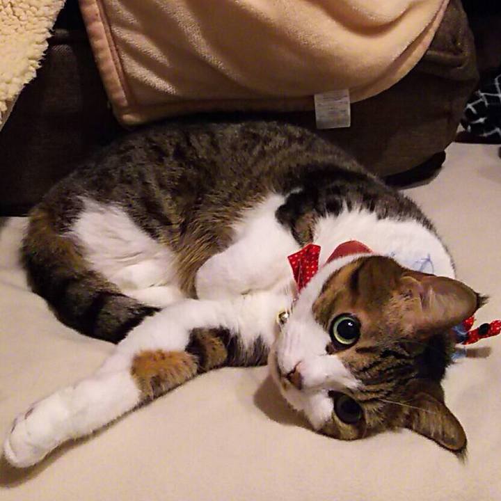 F8b9d73b e5e3 4a92 96d4 df5766e0935f