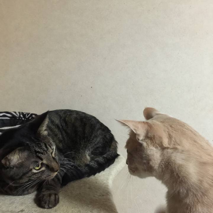 F8ba19d8 7696 4aad aadc 00d86fbc7249