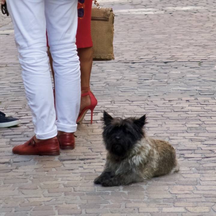 F8ba472a 497b 4e12 a076 d902eae7001c