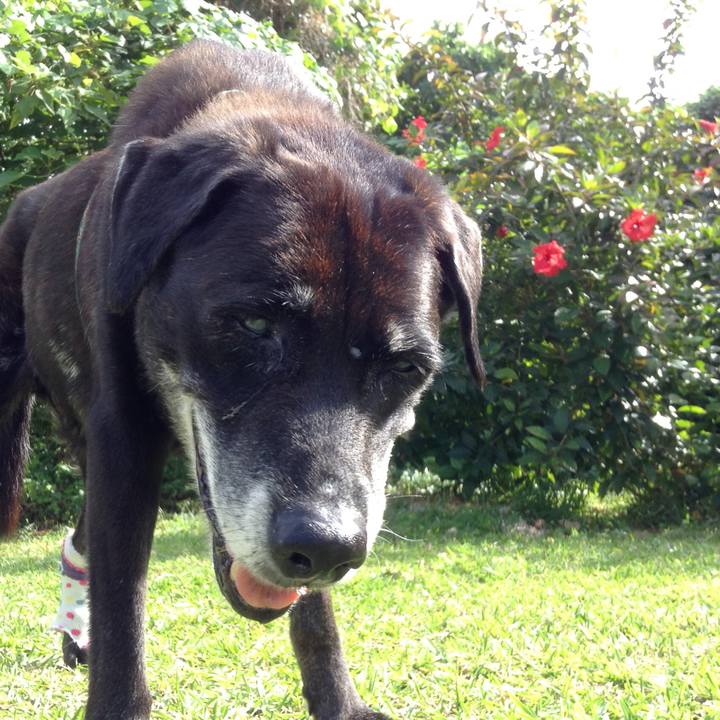 F8baeb70 a97a 4573 bff3 ac67e5ac2b4e