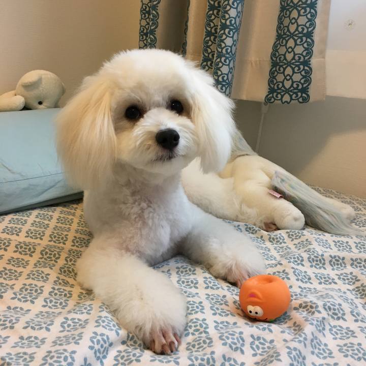 F8bbea61 53a4 420e 9659 f79b58a27733