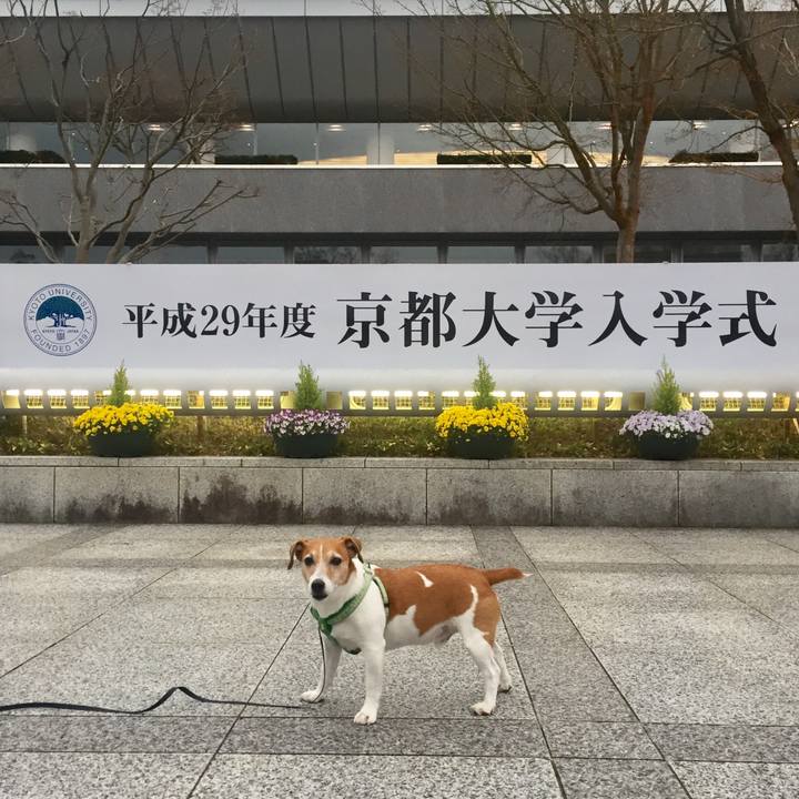 F8bc724e a315 44c3 b6ce d70ae46326fa