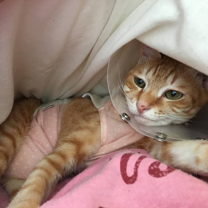 F8bd00fd f90e 4126 8d3f 1bc79289871a