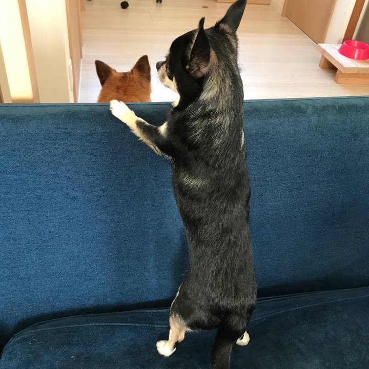 F8bf4a05 e6ef 4cf5 b0d6 059538203588