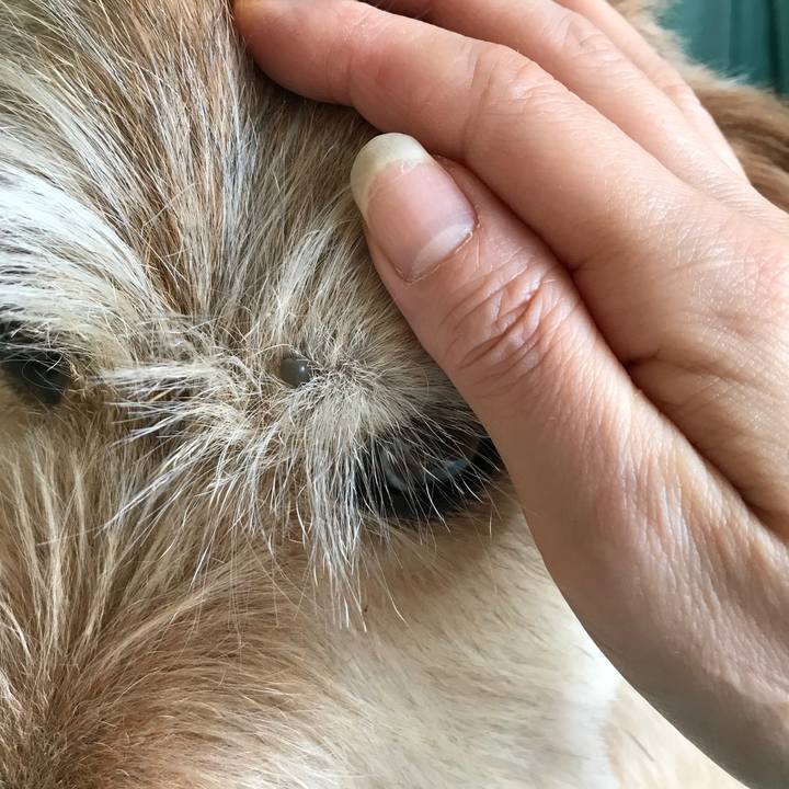 F8bfb3fc 81f4 4c79 bad1 79e390188aaa