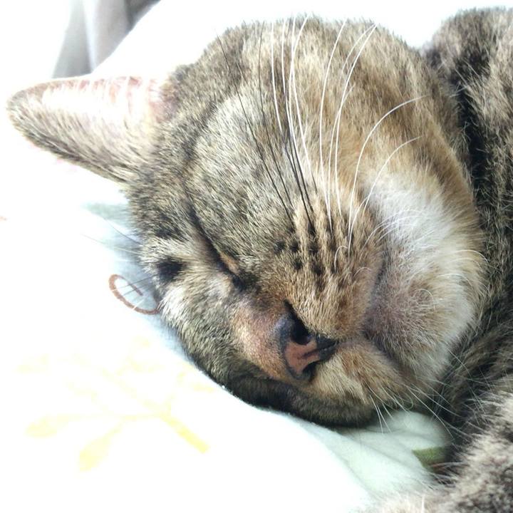 F8c02c81 0603 4d9d 969f 59024fb10499