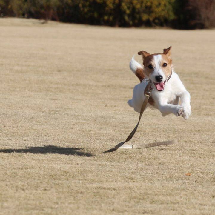 F8c03cce cb5f 450d 9fc0 b1e114a44270