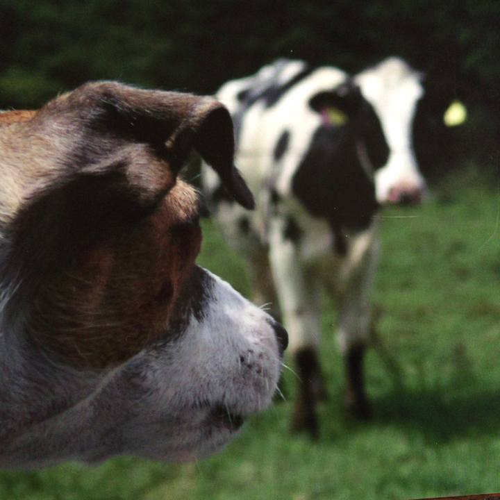 F8c155aa 2271 4818 aecb c1820e4a6446