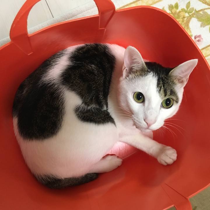 F8c15942 d039 4a03 9db5 29fd02f43475