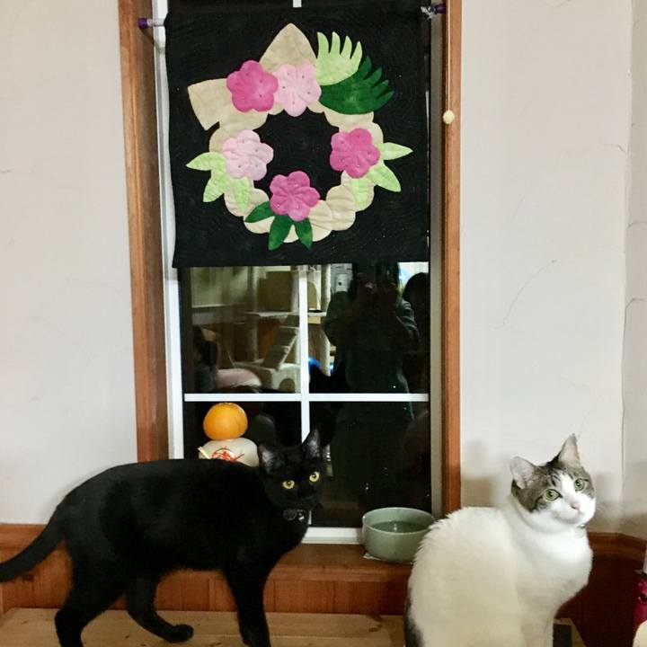 F8c18d05 a345 42f8 9c40 65a7f24b0fb2