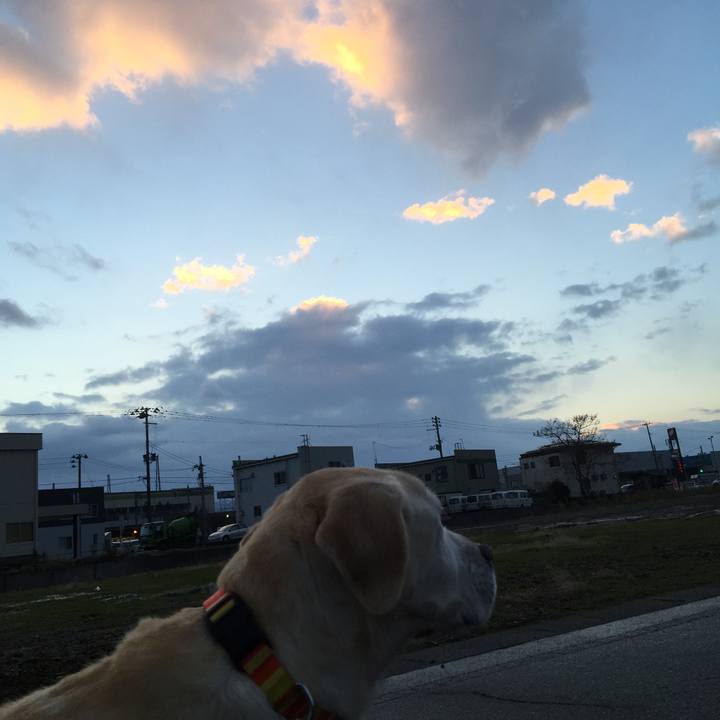 F8c19c74 0ff9 4ed1 83c5 fd9e0205df55