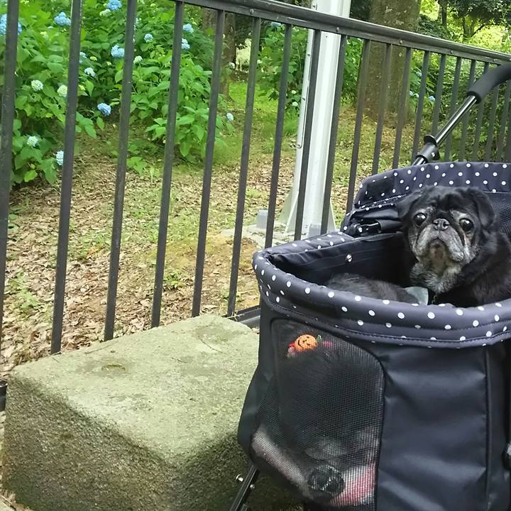 F8c1c198 1f28 401f b2de 802ea7f73ee6