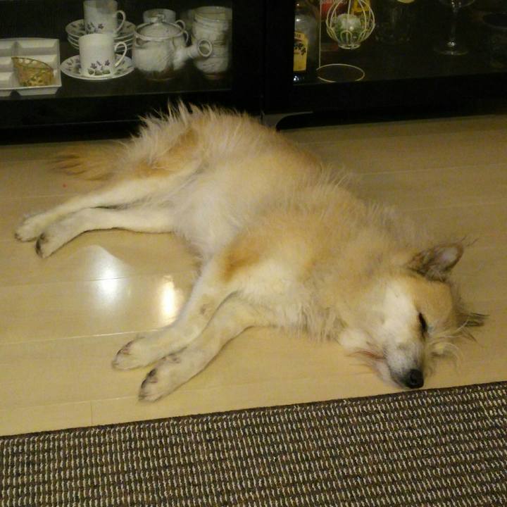 F8c30062 c720 4a83 8a20 06528d5cc1c1