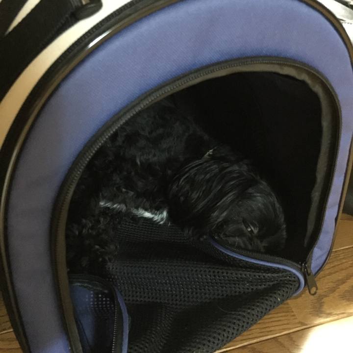 F8c365d9 c2df 4a57 82a9 ce21a99e948e