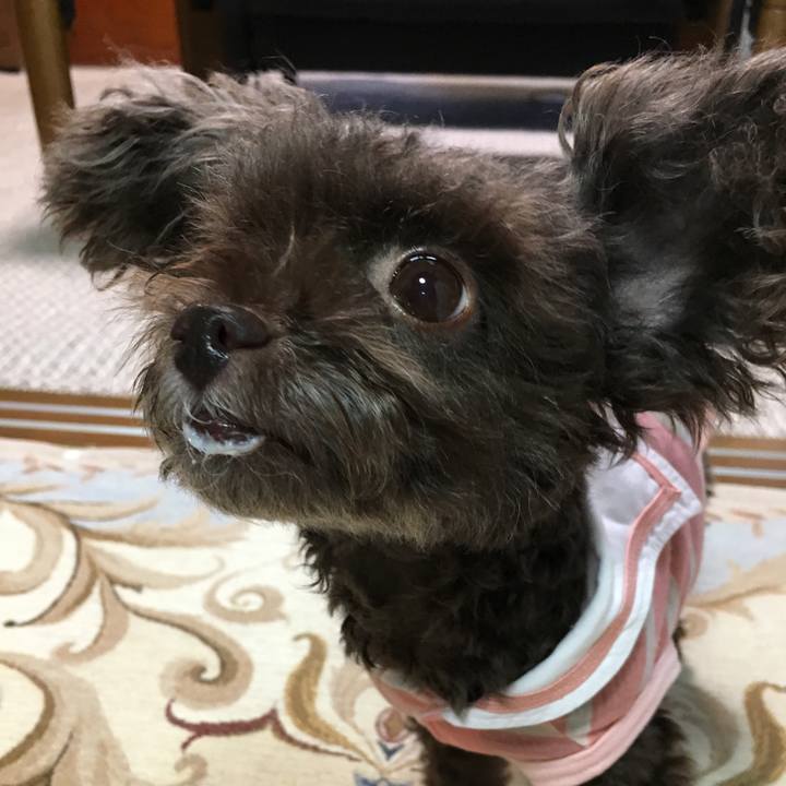 F8c371e4 af75 46d6 b542 b00e974ed957