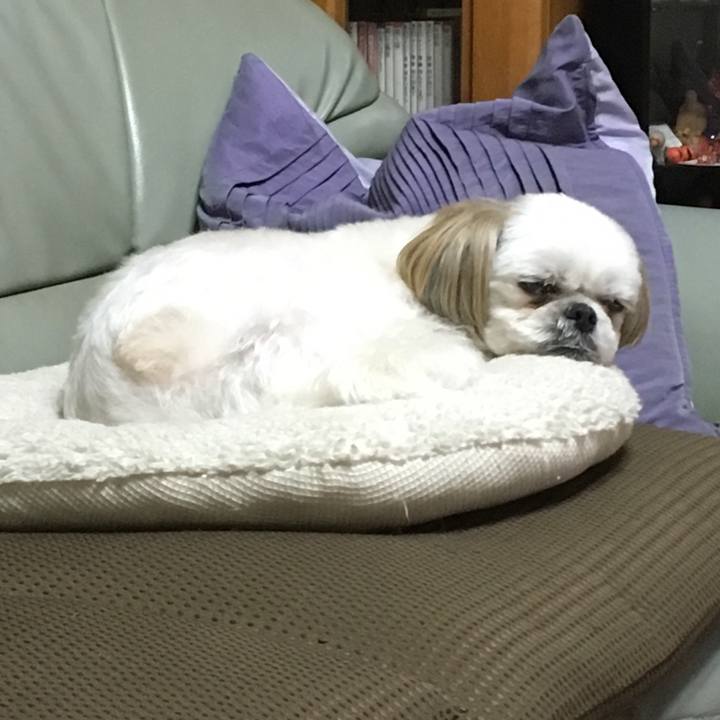 F8c44aae b9ba 42e2 aa38 9a99517c9502