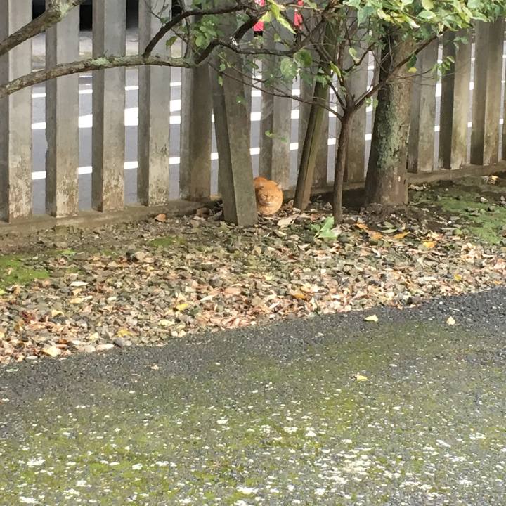 F8c6fa0c 180b 4075 8aa9 1ca1fdd3d47b