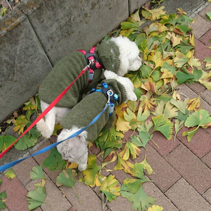 F8c70abc 784c 41f3 acb9 8b3a533f50cc