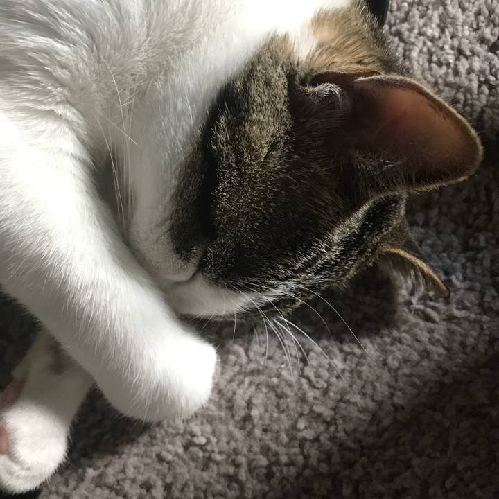 F8c77e4a 8839 438c 8502 c55c45dfcbcf