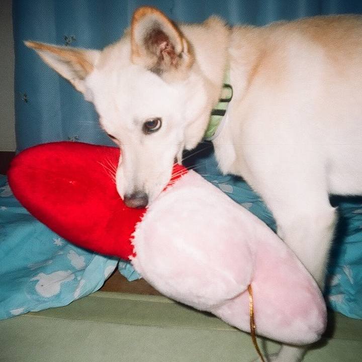 F8c7e73b 3379 4e7d be9c 3759c27d14fc