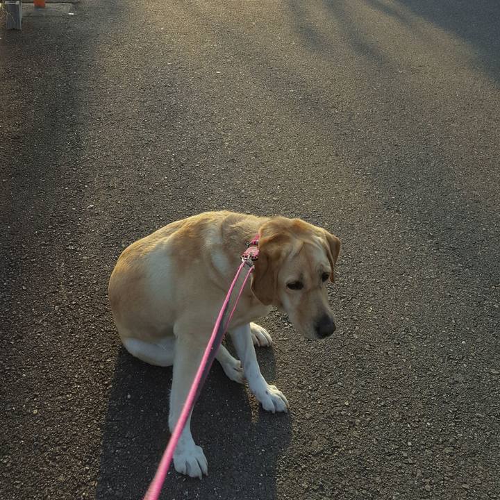 F8c81790 961b 470f 9017 bbed8aa453a9