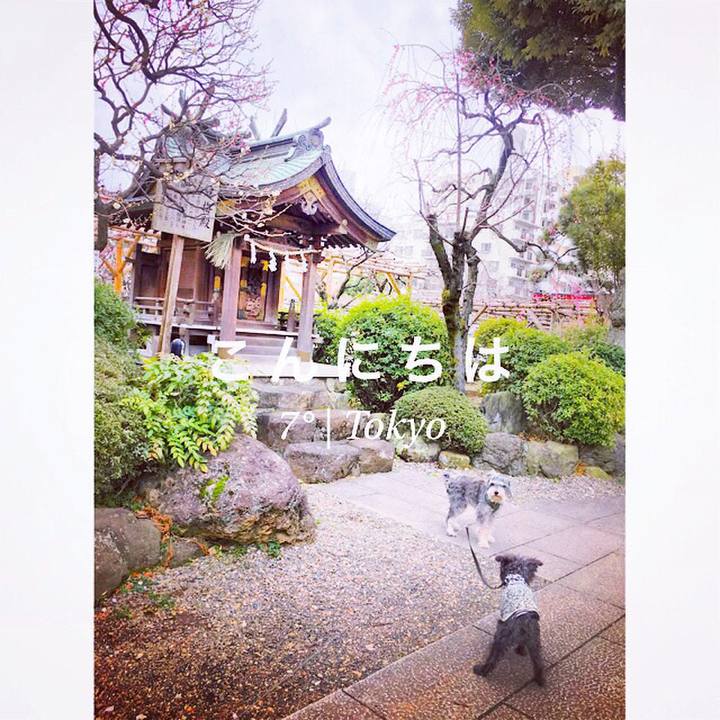 F8c86ce2 0517 406b 99dc 75846679e5a5