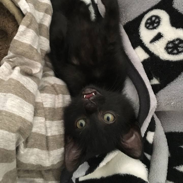 F8c9651d 8c80 4abd a034 4265b8acc4b4