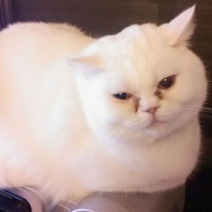 F8c97a06 204f 4551 aa8a 57a1df569a88