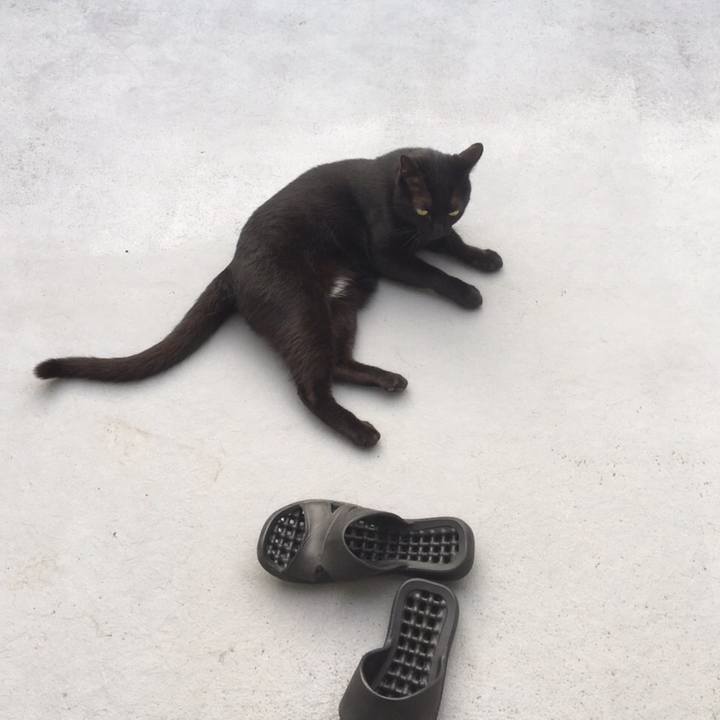 F8ca45f6 9501 4c36 af37 ad664d31a5c2