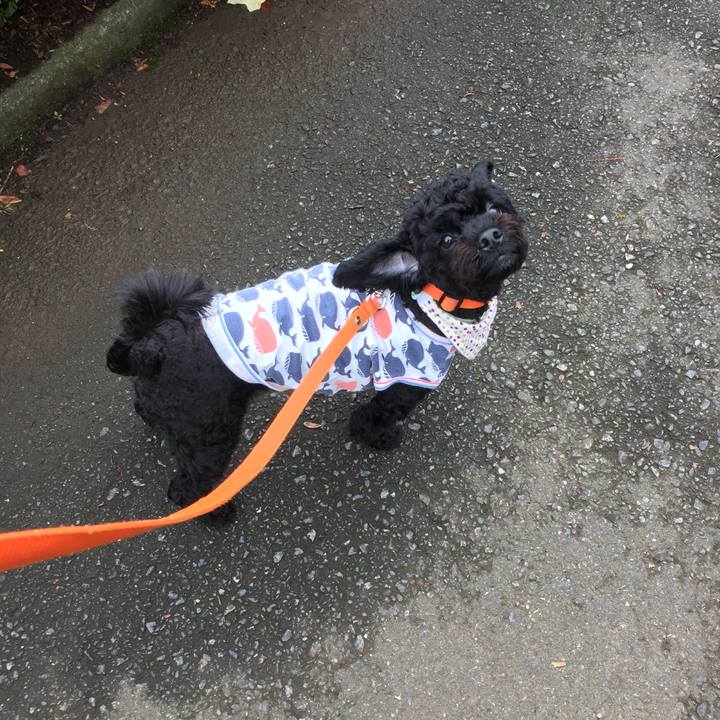 F8ca9591 75db 4803 af5d f3c5d69b3c16