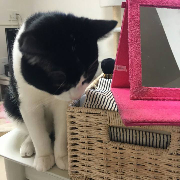 F8ca97e0 442b 4394 bdad a7d70b978bc2