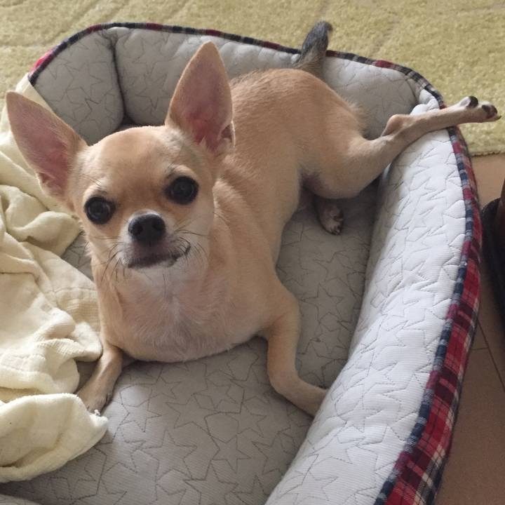 F8cb6d19 3587 4721 9c4c 94181387ad2c